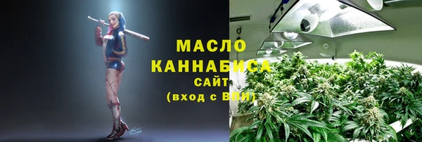 дмт Бородино