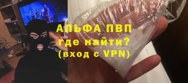 гидра Вязьма