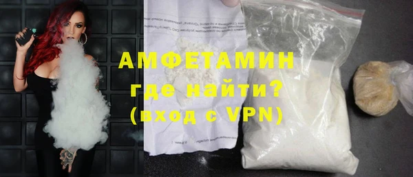 дмт Бородино