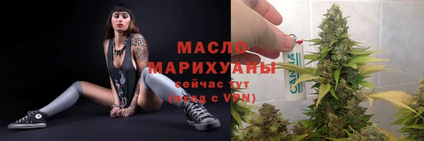 дмт Бородино