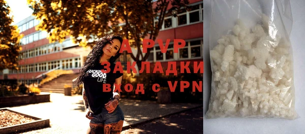 дмт Бородино