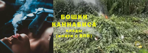 амф Верхний Тагил