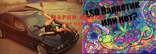 амф Верхний Тагил