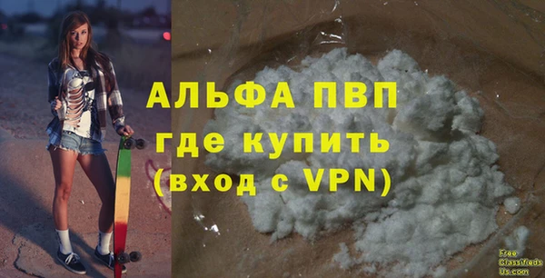 дмт Бородино