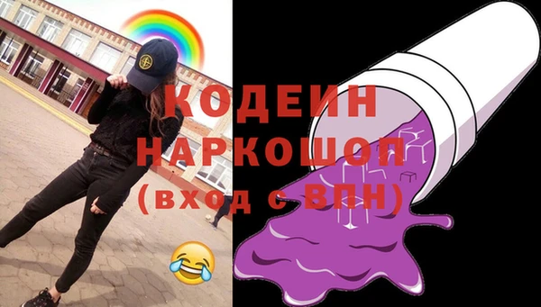 дмт Бородино