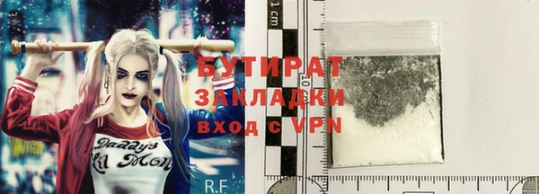 дмт Бородино