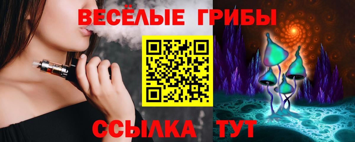 Псилоцибиновые грибы мицелий  Вход с VPN  Гудермес 
