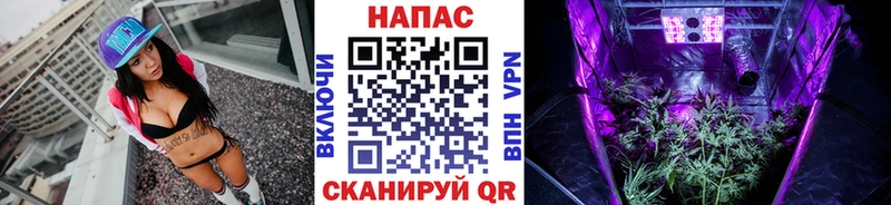 Шишки марихуана THC 21%  Гудермес 
